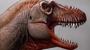 Canadian Palaeontologist Identified New Tyrannosaurid Named Reaper of Death