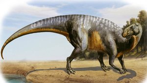 Scientists Have Found the Largest Dinosaur from Japan