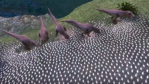 Who Wins: 20 T-Rexes, or 10,000 Chickens? Watch and Find Out